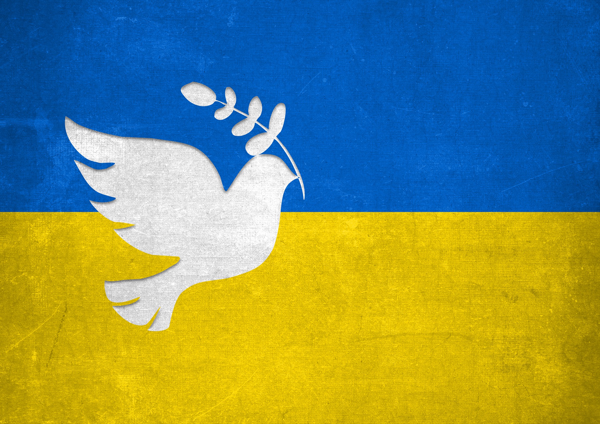 Beitragsbild - Hilfsaktion «St.Gallen helps Ukraine»